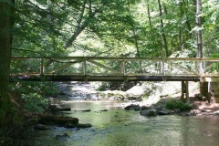 Trail Crew Projects