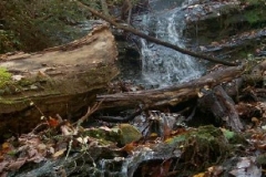 Grapevine Waterfall