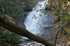 Huckleberry Branch Creek Lower