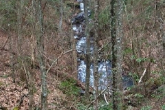 Huckleberry Branch Creek Middle