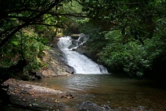 Matthews Waterfall