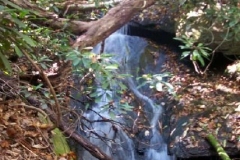 South Branch Fall Creek Waterfall