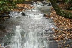 Fantail  Waterfall
