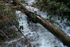 Huckleberry Creek Lower Waterfall
