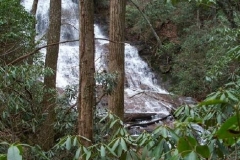 North Branch Fall Creek Upper
