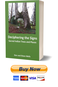 Order Book – Deciphering The Signs